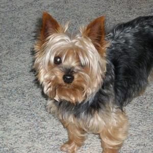 Meet your Posher, Lynn